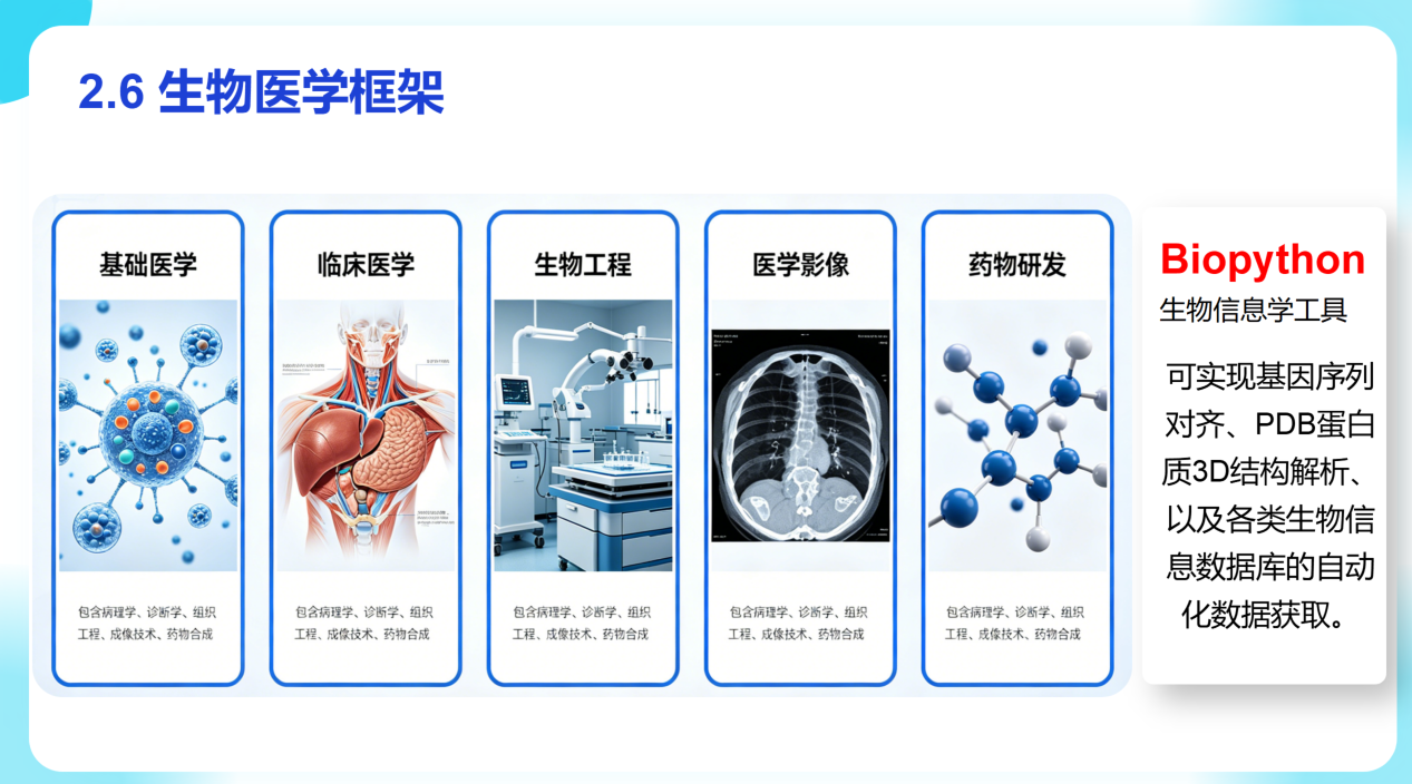 无码A片